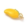 Brass Enamel Pendants KK-H523-01H-G-2