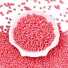 Baking Paint Glass Seed Beads SEED-C004-01N-1