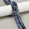 Natural Blue Spot Jasper Beads Strands G-G275-D21-10x10mm-1