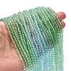 Transparent Painted Glass Beads Strands X1-DGLA-A034-T3mm-A16-2