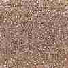 TOHO 11/0 Round Beads SEED-XTR11-0031-2