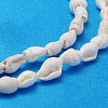 Natural Trumpet Shell Beads Strands X-S02KI011-3