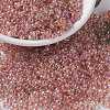 MIYUKI Round Rocailles Beads X-SEED-G008-RR0275-1
