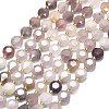 Natural Violet Strawberry Quartz Beads Strands G-C116-A116-01-2