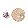 Wire Wrapped Electroplate Glass Charms PALLOY-JF01649-01-5