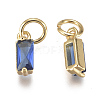 Brass Micro Pave Cubic Zirconia Charms ZIRC-F111-03G-05-2