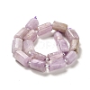 Natural Kunzite Beads Strands G-N327-06-36-3