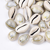 Cowrie Shell Links connectors SSHEL-Q310-01C-01-1
