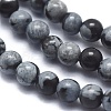 Natural Snowflake Obsidian Beads Strands G-A177-04-21-3