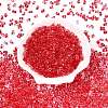 Spray Painted Glass Seed Beads SEED-T007-08E-1