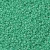 TOHO Round Seed Beads X-SEED-TR08-0156-2