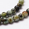 Natural African Turquoise(Jasper) Beads Strands X-G-D840-90-6mm-3