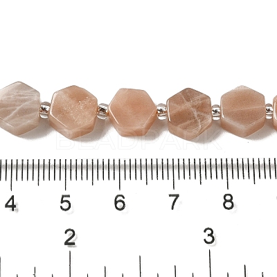 Natural Sunstone Beads Strands G-P534-A09-02-1