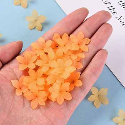 Frosted Acrylic Bead Caps X-MACR-S371-05A-719-1
