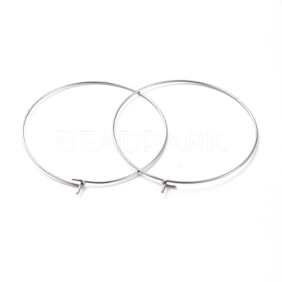 316 Surgical Stainless Steel Hoop Earring Findings STAS-J025-01F-P-1