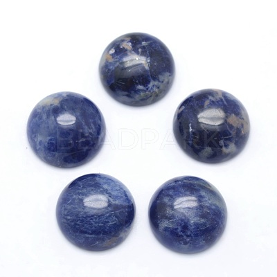 Natural Sodalite Cabochons G-P393-R45-14.5mm-1