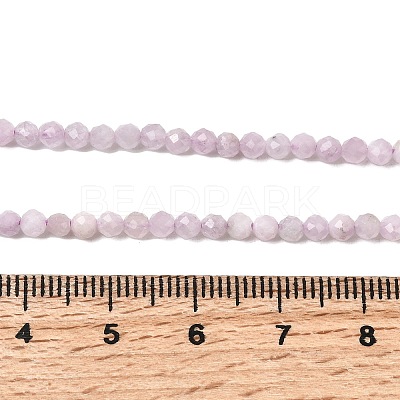 Natural Kunzite Beads Strands G-G343-B04-3mm-1