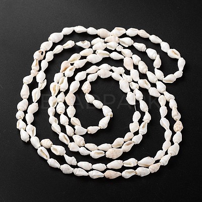 Natural Sea Shell Conch Bead Strands BSHE-O009-06-1
