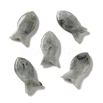 Natural Labradorite Pendants G-G932-B21-1