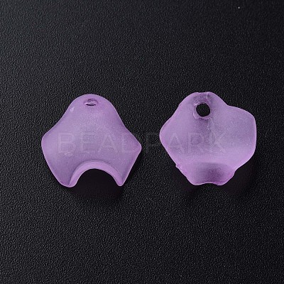 Transparent Acrylic Beads MACR-S373-106-D03-1