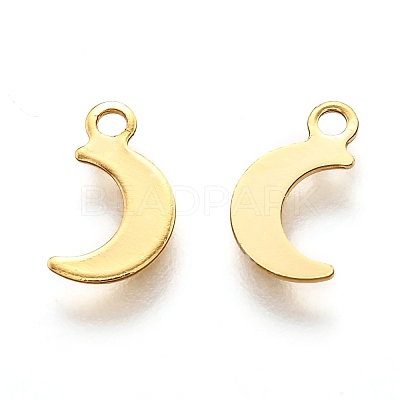 201 Stainless Steel Charms STAS-B001-11G-1