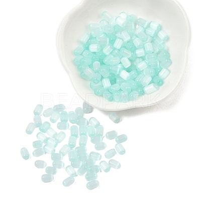 25G Glass Cylinder Seed Beads SEED-YW0003-17D-1