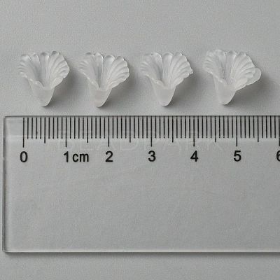 Transparent Acrylic Beads X-PL622-9-1