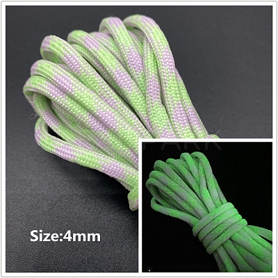 Luminous Polyester Braided Cord PW-WG66564-05-1