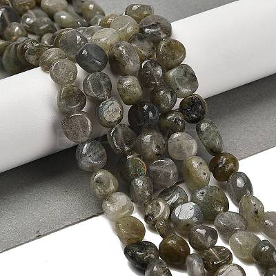 Natural Labradorite Beads Strands G-P497-01E-47-1