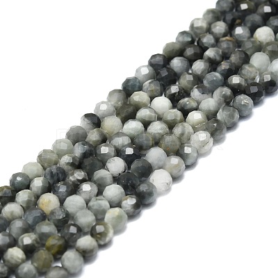 Natural Hawk's Eye Beads Strands G-P457-A03-06-1
