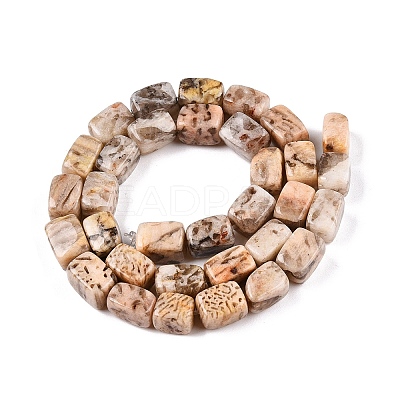 Natural Feldspar Beads Strands G-T138-84-1