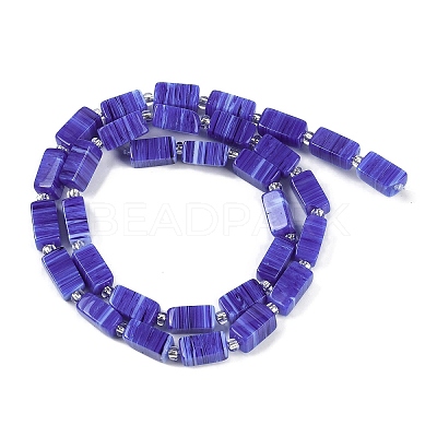Handmade Lampwork Beads Strands LAMP-Q037-01A-06-1