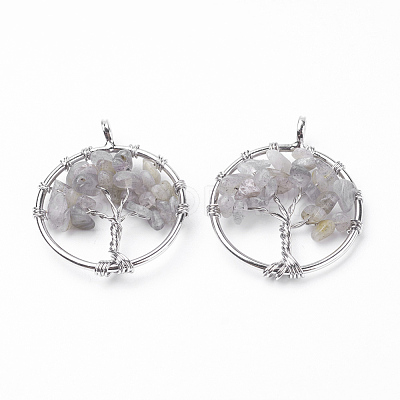 Natural Labradorite Pendants X-G-E419-16P-1