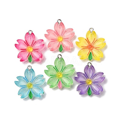 Transparent Resin Pendants RESI-A046-05H-1