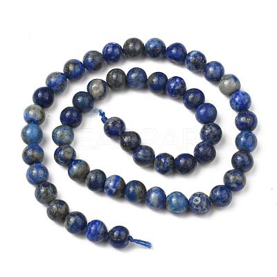 Natural Lapis Lazuli Bead Strands X-G-G953-01-8mm-1