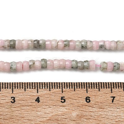 Natural Rhodonite Beads Strands G-A299-A24-01-1
