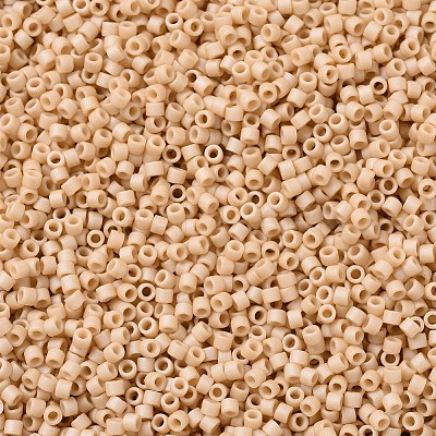 MIYUKI Delica Beads Small SEED-X0054-DBS0389-1