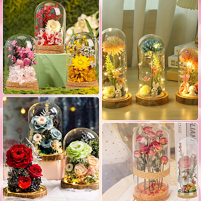 Glass Bell Jars AJEW-BC0010-64B-1