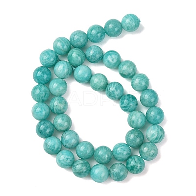 Natural Amazonite Beads Strands G-G453-A02-10mm-1