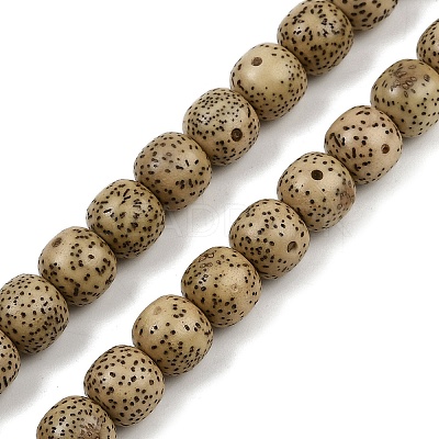 Natural Rudraksha Bodhi Seed Beads Strand WOOD-B010-A03-8x9mm-1