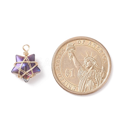 Wire Wrapped Electroplate Glass Charms PALLOY-JF01649-01-1