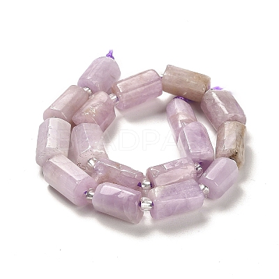 Natural Kunzite Beads Strands G-N327-06-36-1