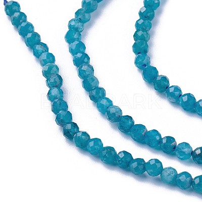 Natural Apatite Beads Strands G-F619-13B-3mm-1