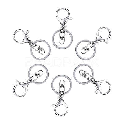 Iron Alloy Lobster Claw Clasp Keychain X-KEYC-D016-P-1