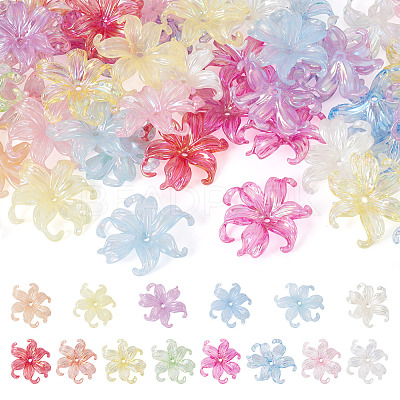 50Pcs 2 Styles Acrylic Bead Caps OACR-TA0004-84-1