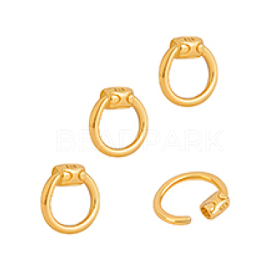 4Pcs Sterling Silver Locking Carabiner FIND-PH0026-94G-1