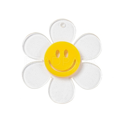 Transparent Acrylic Big Pendants OACR-P012-AM-1