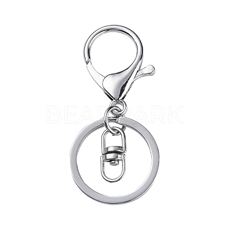 Iron Alloy Lobster Claw Clasp Keychain X-KEYC-D016-P-1