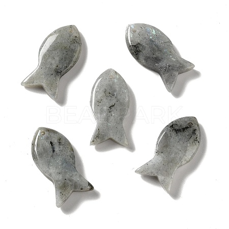 Natural Labradorite Pendants G-G932-B21-1