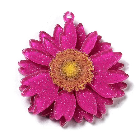 Printed Transparent Acrylic Pendants LS-SACR-P029-B02-1